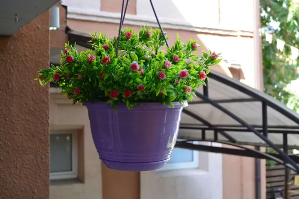 Изображение товара Кашпо 5 Plast Глория подвесной D25 (4.2л, лаванда)