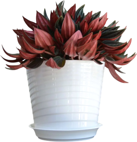 Изображение товара Вазон 5 Plast Фиалочница Верона D11 (750мл, белый)