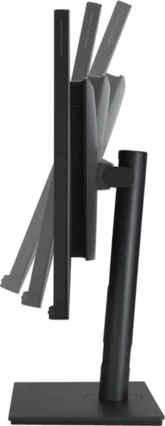 Изображение товара Монитор Asus ProArt PA329CV (черный)