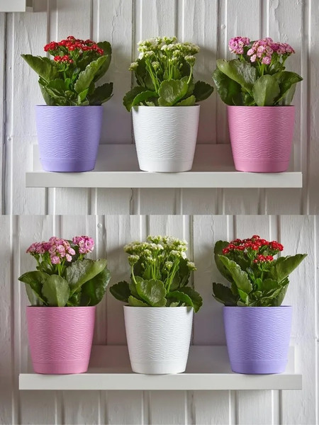 Изображение товара Вазон La Decoro Блюз (1.5л, фраппе)