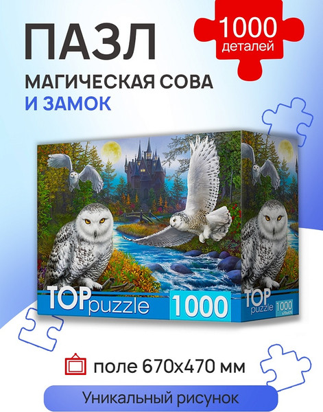 Изображение товара Пазл РЫЖИЙ КОТ Магическая сова и замок / Ф1000-9941