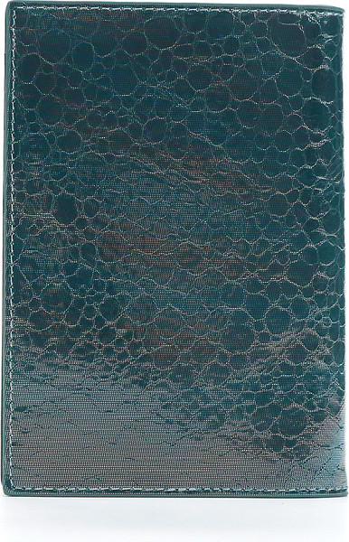 Изображение товара Обложка на паспорт Fabretti Q250019-152