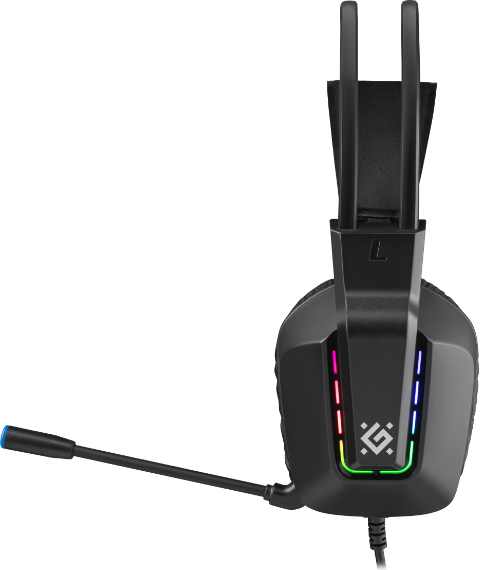 Изображение товара Наушники-гарнитура Defender Gothic / 62340 (черный)