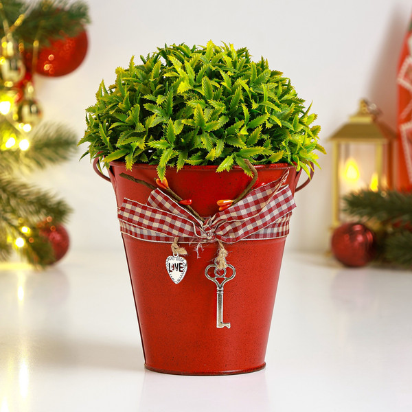 Изображение товара Кашпо Take It Easy Ведерко Рустад / 10547459 (красный)