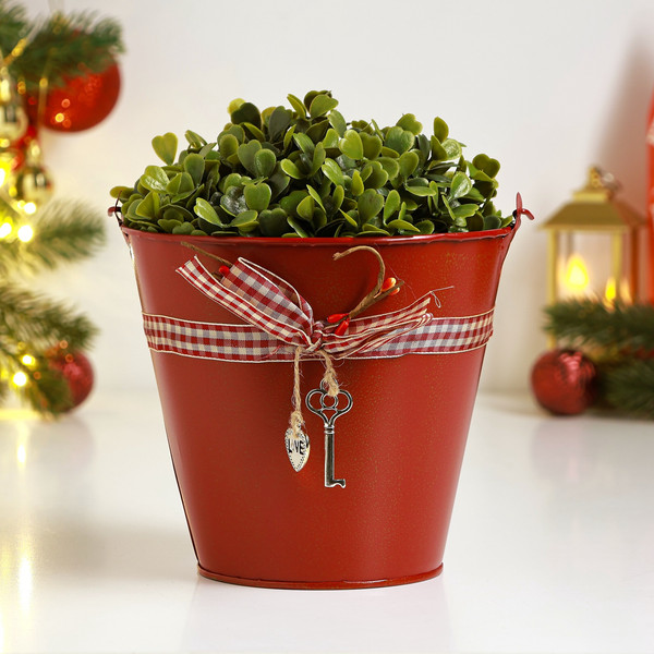 Изображение товара Кашпо Take It Easy Ведерко Рустад / 10547457 (красный)