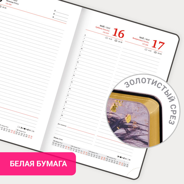 Изображение товара Ежедневник Brauberg 2026 / 117448