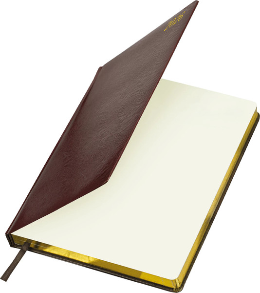 Изображение товара Ежедневник Brauberg 2026 / 117244 (коричневый)