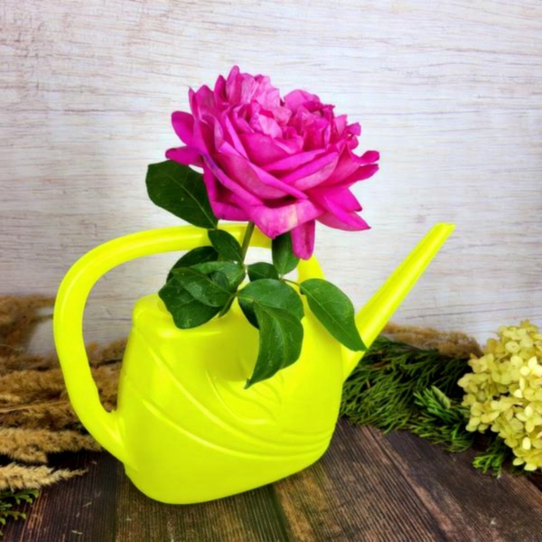 Изображение товара Лейка комнатная Инструм-Агро Гардения 011531