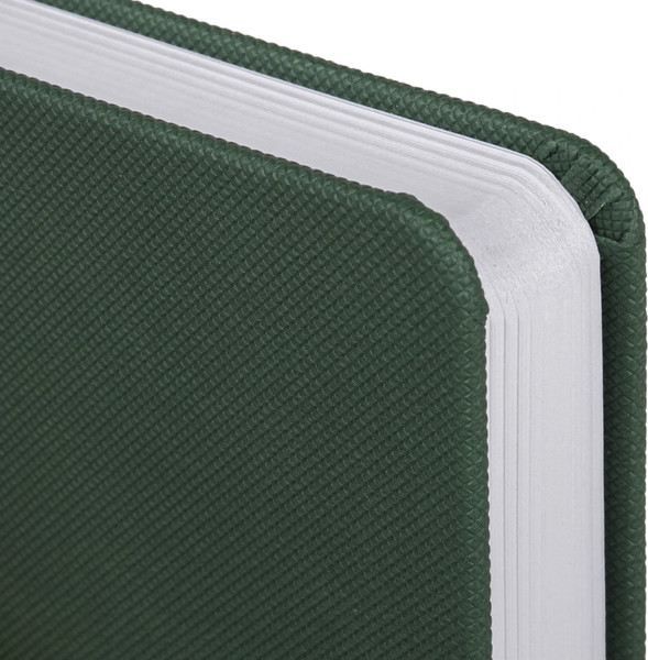 Изображение товара Ежедневник Brauberg 2026 с держателем для ручки / 117123 (зеленый)