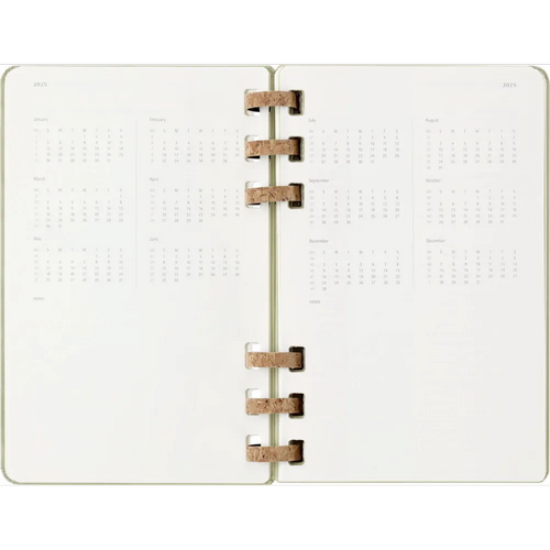 Изображение товара Еженедельник Moleskine Academic Spiral Large DHSPK5212AMWH3 (киви)