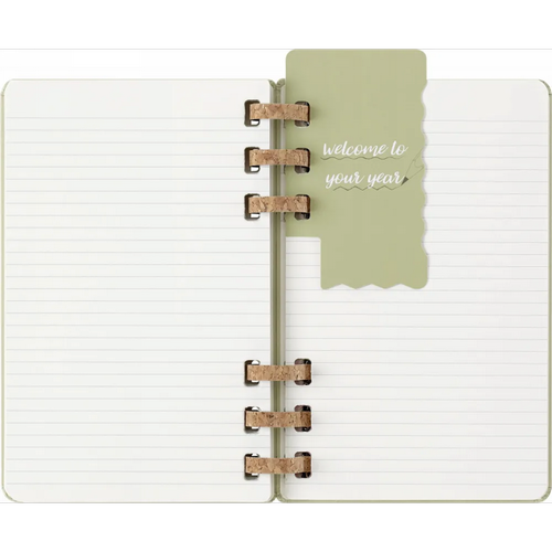 Изображение товара Еженедельник Moleskine Academic Spiral Large DHSPK5212AMWH3 (киви)