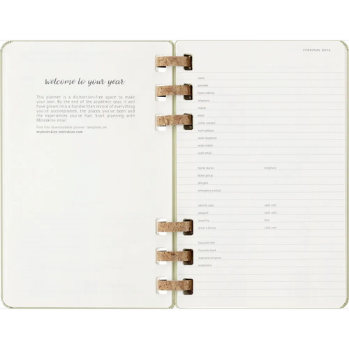 Изображение товара Еженедельник Moleskine Academic Spiral Large DHSPK5212AMWH3 (киви)