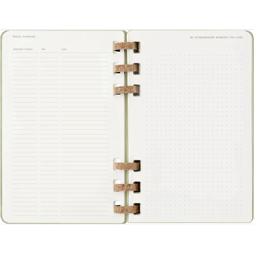 Изображение товара Еженедельник Moleskine Academic Spiral Large DHSPK5212AMWH3 (киви)