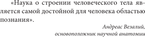 Изображение товара Книга АСТ Анатомия для ищущих свой пупок (Шляхов Андрей 9785171697457)