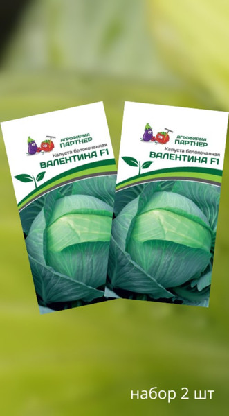 Изображение товара Набор семян Агрофирма Партнер Капуста белокочанная позднеспелая Валентина F1 (2шт)
