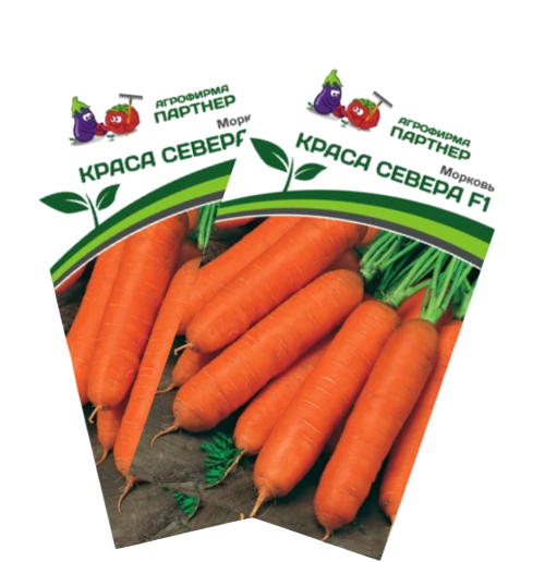Изображение товара Набор семян Агрофирма Партнер Морковь Краса Севера F1 (2шт)