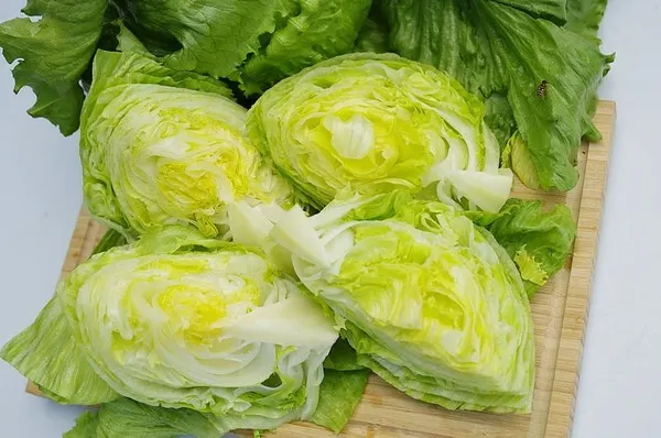 Изображение товара Набор семян Агрофирма Партнер Салат кочанный Айсберг (2шт)