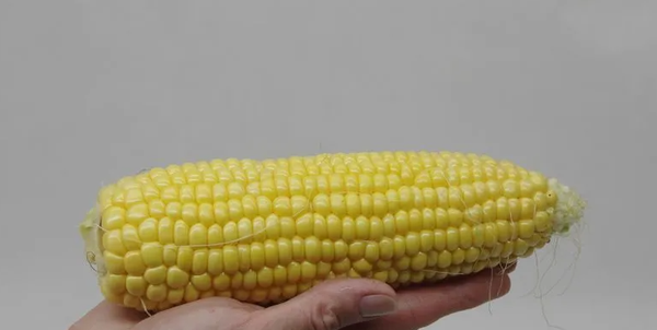 Изображение товара Набор семян Агрофирма Партнер Кукуруза Спирит F1 (2шт)