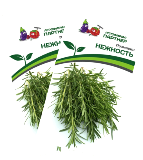 Изображение товара Набор семян Агрофирма Партнер Розмарин Нежность (2шт)