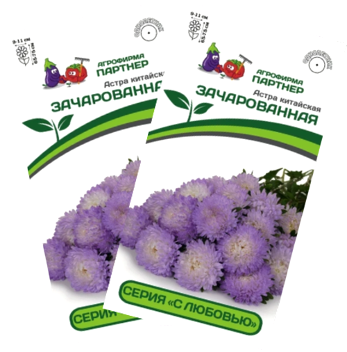 Изображение товара Набор семян цветов Агрофирма Партнер Астра китайская Зачарованная (2шт)