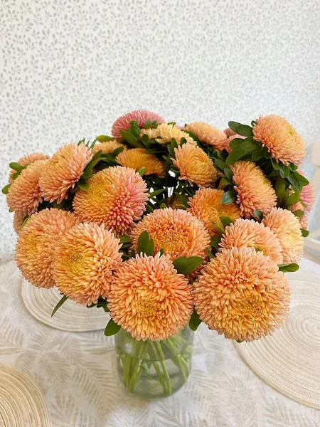 Изображение товара Набор семян цветов Агрофирма Партнер Астра китайская Осенний Поцелуй (2шт)