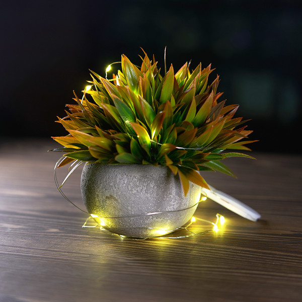 Изображение товара Светодиодная гирлянда Feron Роса 20 LED 2м 2700К / 51439