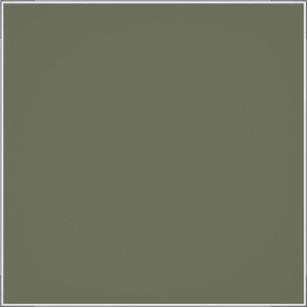 Изображение товара Декоративная панель для вытяжного вентилятора Diciti PAGM4/5 (Olive Green)