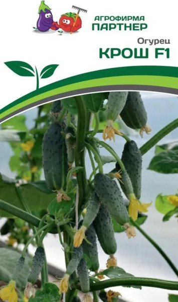 Изображение товара Семена Агрофирма Партнер Огурец партенокарпический Крош F1