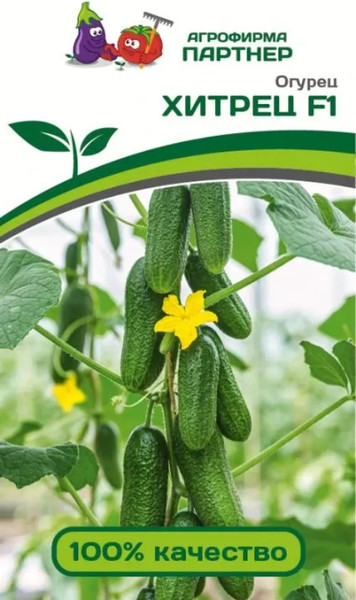Изображение товара Семена Агрофирма Партнер Огурец партенокарпический Хитрец F1