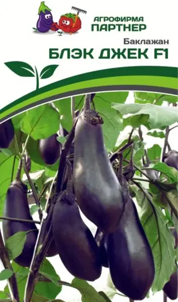 Изображение товара Семена Агрофирма Партнер Баклажан Блэк Джек F1