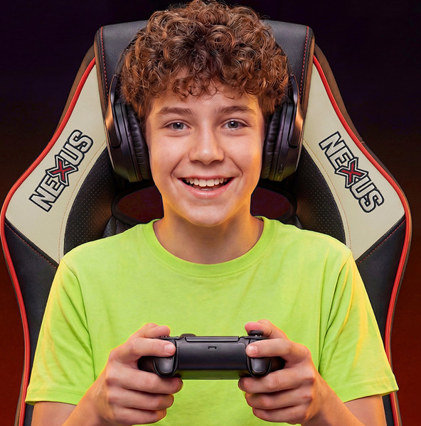 Изображение товара Кресло геймерское Floky Nexus (черный/серый V1)