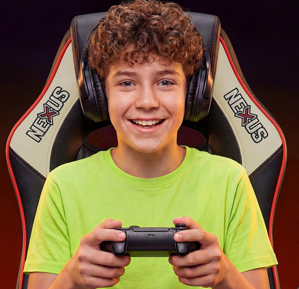 Изображение товара Кресло геймерское Floky Nexus (черный/серый V2)