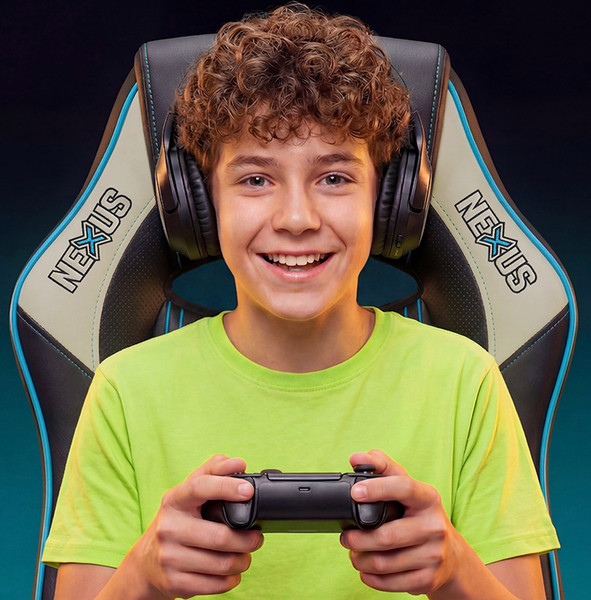 Изображение товара Кресло геймерское Floky Nexus (черный/серый V3)