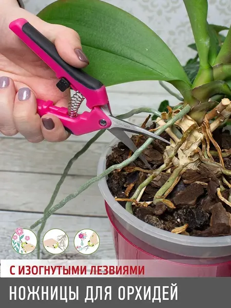 Изображение товара Садовые ножницы механические Garden Show для орхидей с изогнутыми лезвиями h16.5