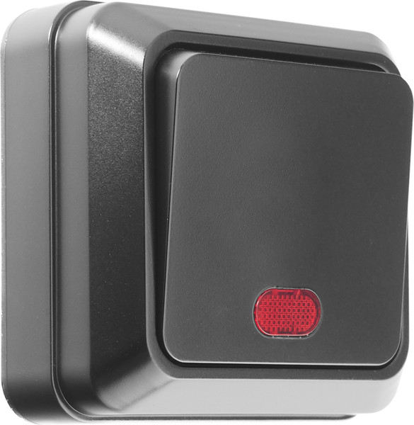 Изображение товара Выключатель General Lighting Альфа 477049 (черный)