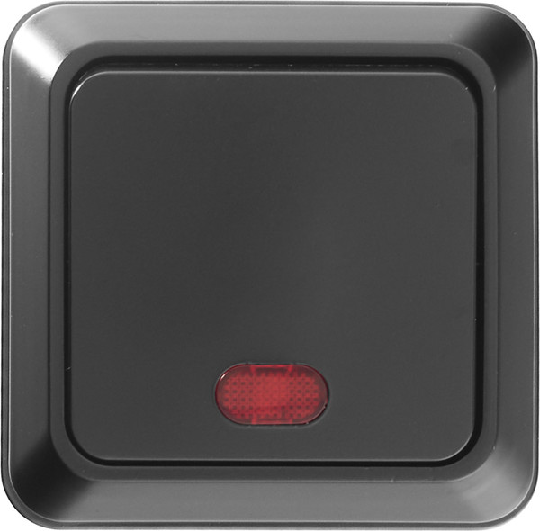 Изображение товара Выключатель General Lighting Альфа 477049 (черный)