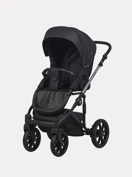 Изображение товара Детская универсальная коляска Riko Nano Thermo Ecco 2 в 1 (черный)