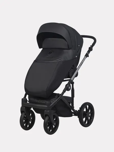 Изображение товара Детская универсальная коляска Riko Nano Thermo Ecco 2 в 1 (черный)