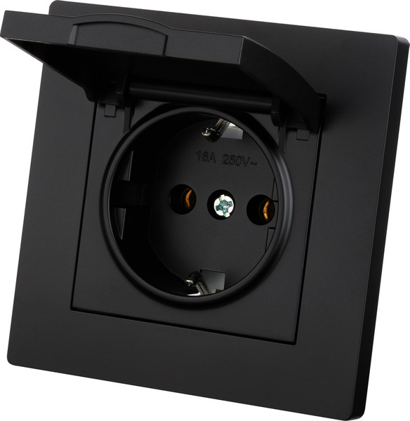 Изображение товара Розетка TDM Сенеж SQ1816-0278 (черный)