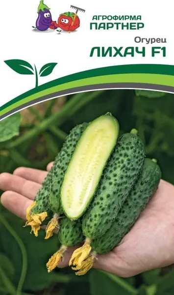 Изображение товара Семена Агрофирма Партнер Огурец Лихач F1 (5шт)