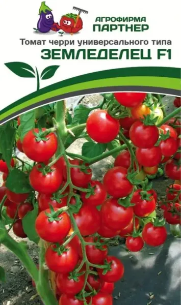 Изображение товара Семена Агрофирма Партнер Томат Черри Земледелец F1 (0.05г)