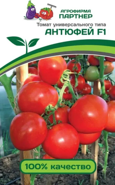 Изображение товара Семена Агрофирма Партнер Томат Антюфей F1 (0.1г)