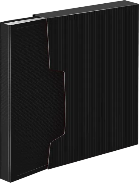 Изображение товара Папка для бумаг Бюрократ DeLuxe DLVBOX80BLCK (черный)