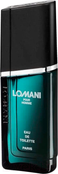 Изображение товара Туалетная вода Lomani Pour Homme (100мл)