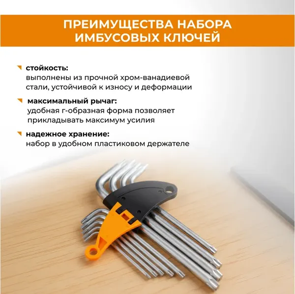 Изображение товара Набор ключей Rage Torx / 303141 (9шт)