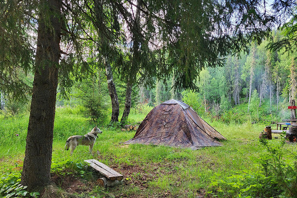 Изображение товара Палатка Берег Спутник-3 (трехместная, четырехлучевая, двухслойная)