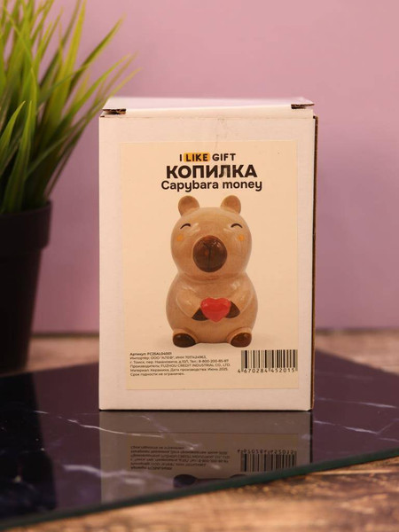 Изображение товара Копилка ILikeGift Capybara money / FC25AL04001