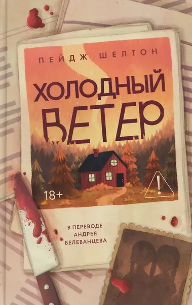 Художественная книга Дом историй Холодный ветер (Шелтон П. 9785005808431) — фото 5