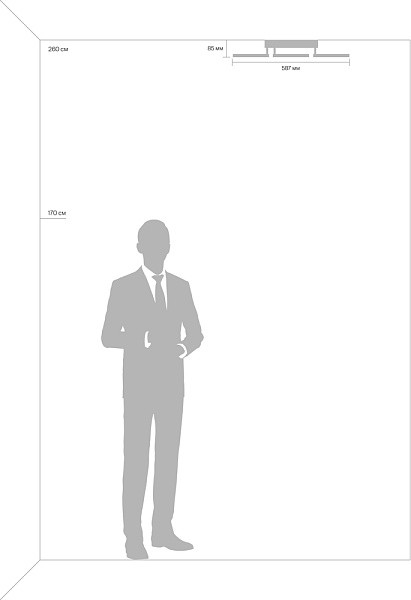 Изображение товара Люстра Freya Bodge FR10017CL-L92W