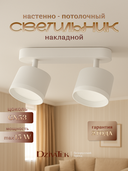 Изображение товара Спот DzivaTek 61039